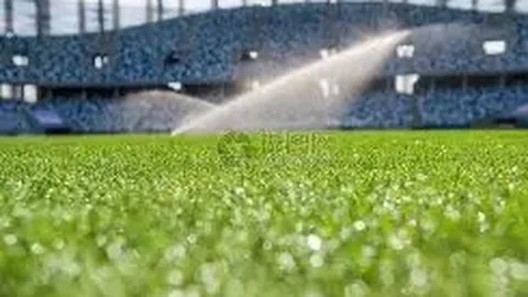 山东泰山队：引进五位强力外援，赛季力争突破新高